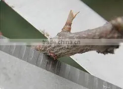 Concertina Type Hedge Shear thumbnail-5