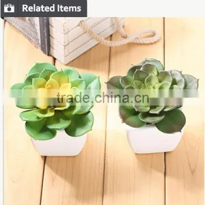 Factory Hot Sale Artificial Succulents Plants Mini Artificial Succulents thumbnail-6