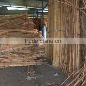 Malaysia Rattan Raw Material Stock thumbnail-1