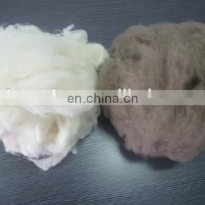 Carded and Dehaired Raccoon Hair for Spinning thumbnail-2