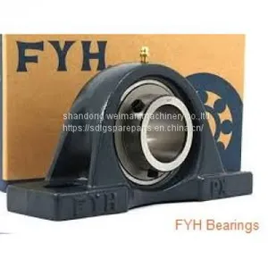 FYH Bearing thumbnail-1