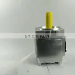 Eckerle Hydraulic Pump Oil Pump EIPC5 Series Gear Pump for Injection Molding Machine EIPC5-080RA23-10 thumbnail-1