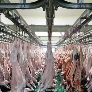 Abattoir Equipment Goat Slaughtering Processing Plant For Sheep Slaughterhouse thumbnail-2