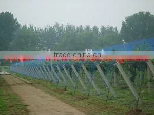 HDPE Anti-insect Net thumbnail-1