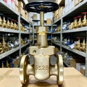 JIS F7367 J Type Marine Bronze Gate Valve for Seawater & Fresh Water Factory Direct thumbnail-2