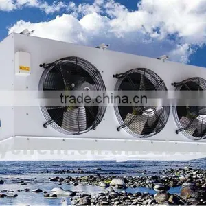D Series Evaporative Air Cooler Used for Food Processing Cold Room thumbnail-1
