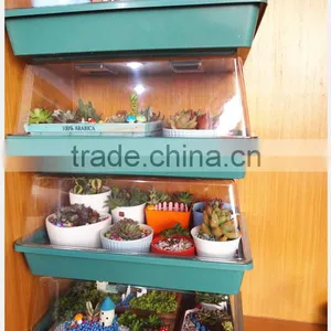 Plant Propagation Seed Tray/plant Growing Trays thumbnail-4
