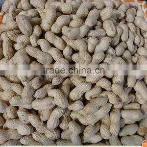 Delicious Roasted Peanuts in Shell for Sale thumbnail-3