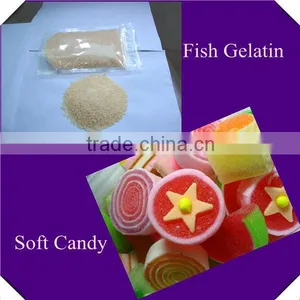 Halal Food Grade Fish Gelatin thumbnail-2