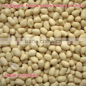 Blanched Peanuts 25/29 29/33 thumbnail-2