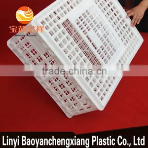 Plastic Transportation Cage for Transport Chicken Duck Birds Cails Quail Pigeon Rabbit Turkey thumbnail-5