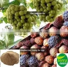 Pure and Natural Soapnut Powder thumbnail-1