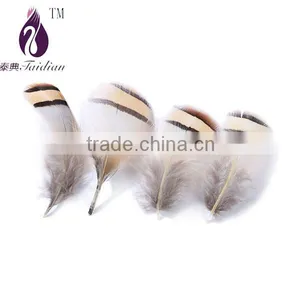 Pheasant Feathers for Jewelry Accesory,gold Chicken Feathers thumbnail-1