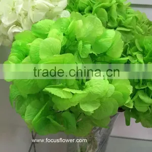 Wholesale Preserved Flower White Hydrangea With High Quality thumbnail-4