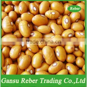 Yellow Kidney Beans thumbnail-1
