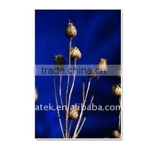 190gsm One-side Glossy Photo Paper thumbnail-1