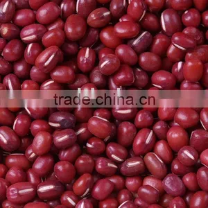 AD Adzuki Bean thumbnail-1