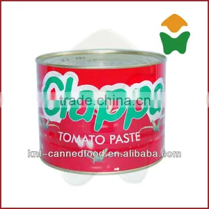 Tomato Paste Factory Good Quality/good Service 70gX50tins thumbnail-4