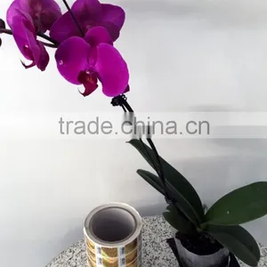 OEM Private Usages Custom Printing Good Price Packing Logo Adhesive Sticker Print thumbnail-2