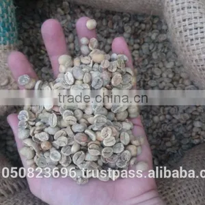 ARABICA GREEN COFFEE BEANS- High Quality thumbnail-1