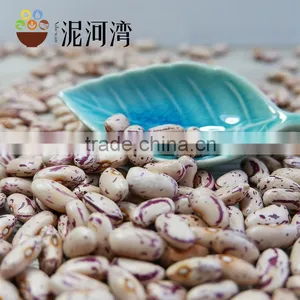 Light Speckled Kidney Bean 200-220pcs With Best Price thumbnail-4