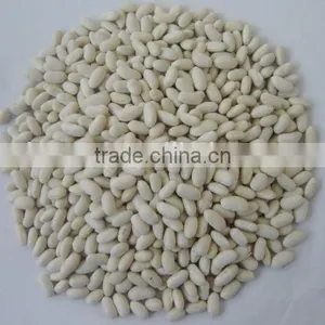 2015 New Crop Price of Baishake White Kidney Beans From China thumbnail-2