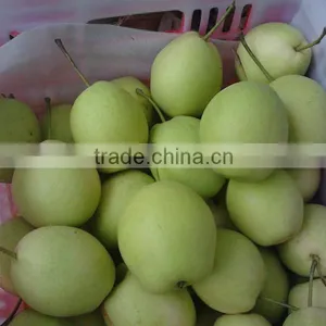 2012 Shandong Pear thumbnail-1
