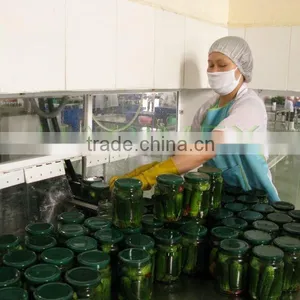 Canned Natural Fresh Pickled Cucumbers in Jar, in Drum, in Can From Vietnam thumbnail-6
