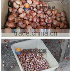 Industrial Shallot Peeling Machine, Shallot Skinner Machine, Shallot Skin Removing Machine With CE Approved thumbnail-3