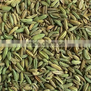 Best Quality Fennel Seeds at Best Price thumbnail-5