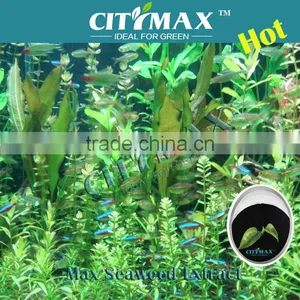Seaweed Extract Fertilizer of Agrochemicals thumbnail-1