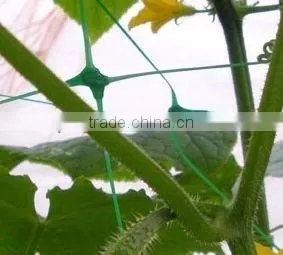Plant Support Net for Garden thumbnail-1