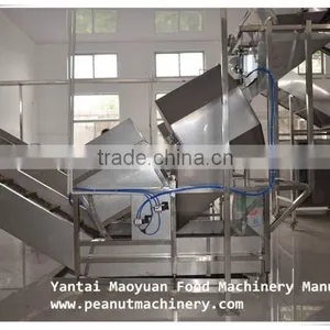 Frying Peanut Production Line thumbnail-4