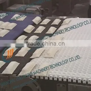 Frozen Food Transfer Conveyor thumbnail-1