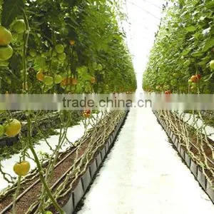 Grow Rough for Tomato / Vegtable thumbnail-3