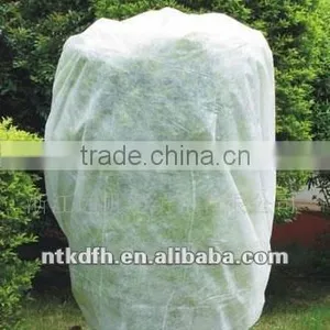 pp Nonwoven Fabric for Fruit Tree Covers thumbnail-1