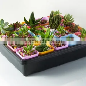 Plastic Raised Garden Bed thumbnail-2