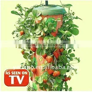 Planter, Strawberry Planter thumbnail-1