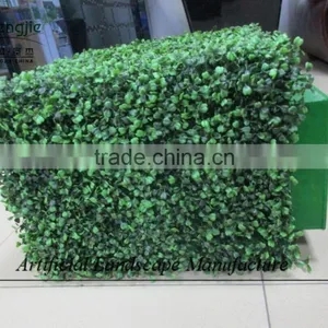 Indoor Artificial Plastic Boxwood Hedge for Decoration thumbnail-4
