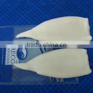 Squid Tube in Distributor thumbnail-1