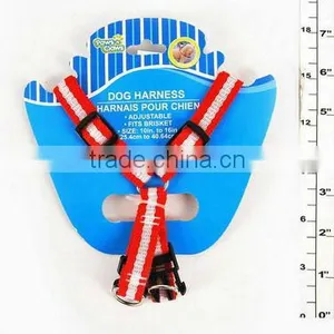 PET Safty thumbnail-1