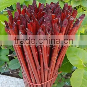 Dyed Different Colors Bamboo Sticks for Garden&agriculture thumbnail-5