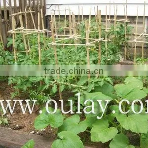Bamboo Garden Trellis for Plant&decoration thumbnail-2