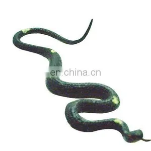 Snake Toy thumbnail-1