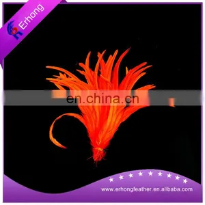 Beautiful Dyed Rooster Tail Feathers for Holiday Costume thumbnail-1