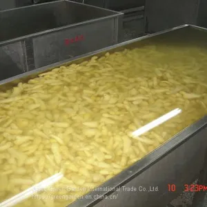 Frozen Ginger Puree 20g 1kg thumbnail-2