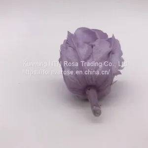 Wholesale3-4cm Elegant Real Touch Preserved Rose Flower thumbnail-5