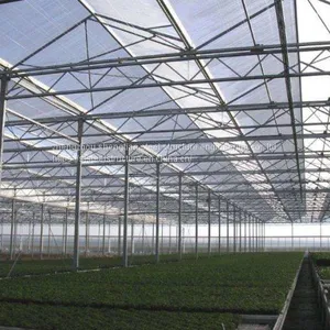 Low Cost Light Steel Structure Glass Green House Skylight Board Covered Green House thumbnail-1