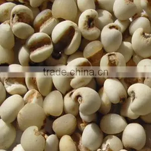 Organic Pearl Barley thumbnail-2