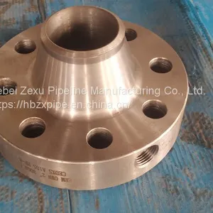 Forged Flange, A105 Hole Plate Flange thumbnail-2